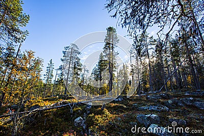 Autumn landscape in Yllas Pallastunturi National Park, Lapland, Finland Stock Photo