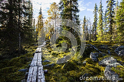 Autumn landscape in Yllas Pallastunturi National Park, Lapland, Finland Stock Photo