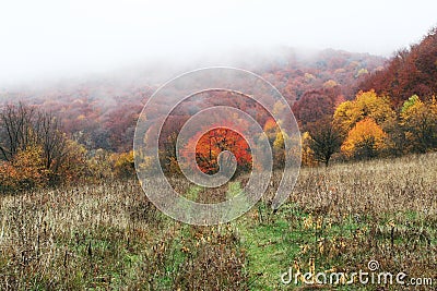 Autumn landscapes Stock Photo