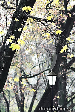 Autumn lantern in the alley Stock Photo