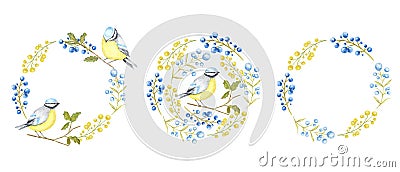 Autumn leaf, berries and Tomtit birds Frame set isolated on a white background. Watercolor Bird BlueTit sitting on the Stock Photo