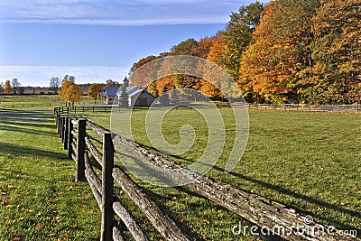 Autumn leaf color of a horse farm in Ontario, Canda Stock Photo