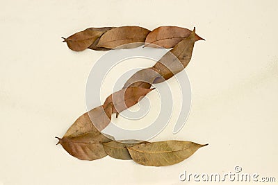 Autumn leaf letter Z Background image. Natural forest leaf alphabet Background Stock Photo