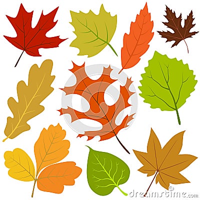 Autumn leaf vector Vector Illustration