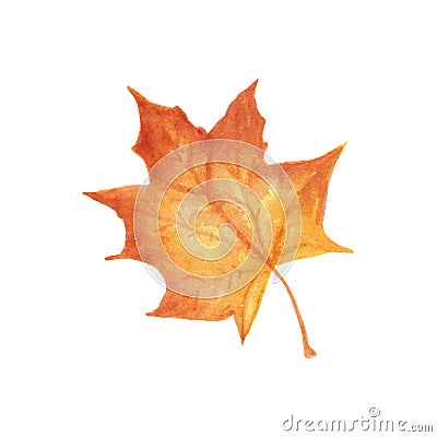 Autumn leaf watercolor texture. clip art work. Vector Illustration