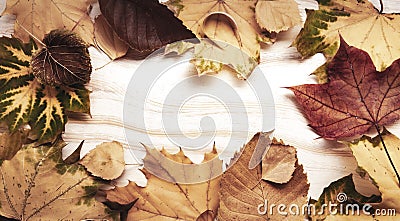 Autumn leaf on wood black background top view orange leaf wood deck, copy space, top view Stock Photo