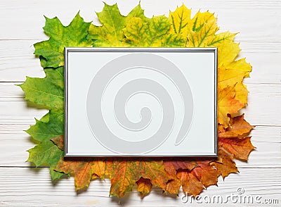 Autumn leafs colorful gradient composition with picture frame copy space Stock Photo