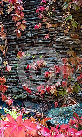 Autumn leafs covering wall made of rock Stock Photo