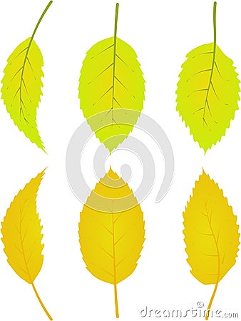 Autumn leafs foliage falling graphic illustrated colours gold yellow Vector Illustration
