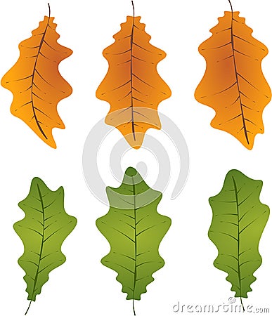 Autumn leafs foliage falling graphic illustrated colours orange green Vector Illustration