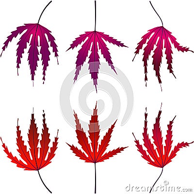 Autumn leafs foliage falling graphic illustrated colours purple red Vector Illustration