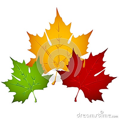 Autumn leaves Vector Illustration