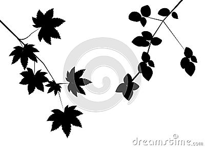 Autumn leaves Vector Illustration