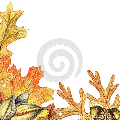 Autumn leaves and acorn border frame with space text on transparent background. Cartoon Illustration