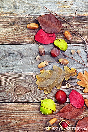 Autumn leaves with acorn, twig, chestnut over wooden background Stock Photo