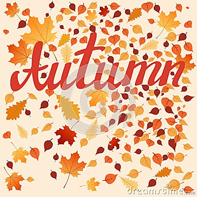 Autumn leaves Stock Photo