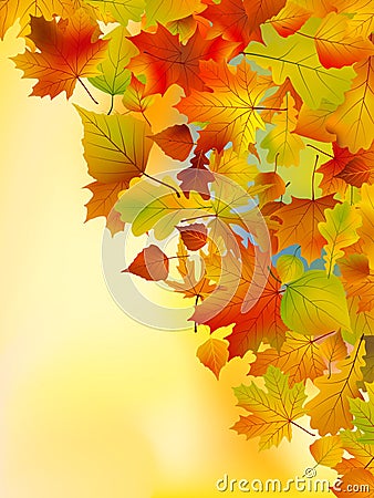 Autumn leaves background. Vector Illustration