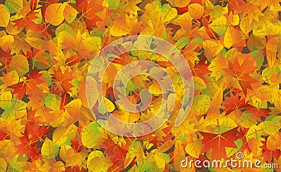 Autumn leaves background Cartoon Illustration