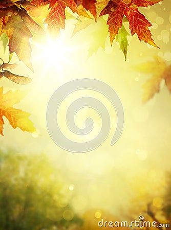 Autumn leaves backgrounds Stock Photo