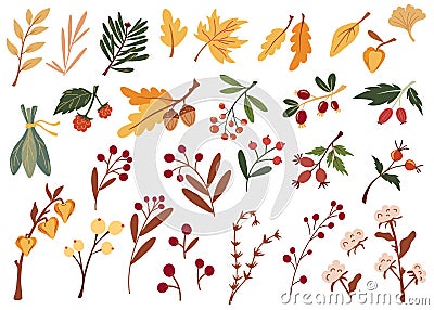 Autumn leaves and berries. Big set of various autumn leaves twigs berries and dried flowers. Hand Drawn Cartoon Vector Vector Illustration