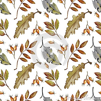 Autumn leaves and berries on a white background. Watercolor pattern. Stock Photo