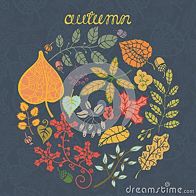 Autumn leaves and berryes conposition Vector Illustration