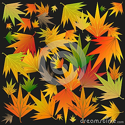 Autumn leaves on a black background. Vector Illustration