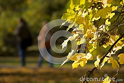 Autumn leaves with blur couple Stock Photo