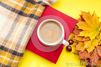 Autumn leaves, book, chestnut, scarf and cup of hot chocolate. Fall season, leisure time and coffee break concept Stock Photo