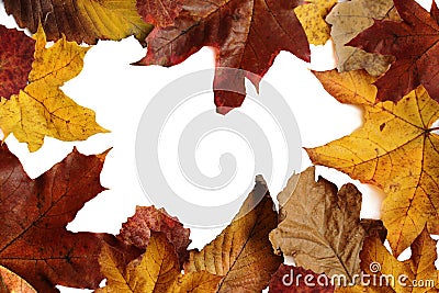 Autumn leaves border frame with black background Stock Photo