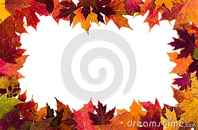Autumn leaves border on white background Stock Photo