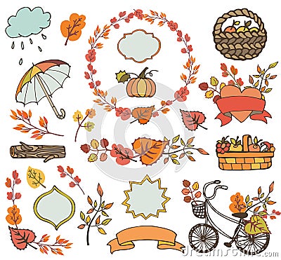 Autumn leaves ,branches.Plant harvest decorations Vector Illustration