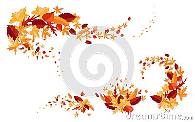 Autumn leaves colorful design elemen Vector Illustration
