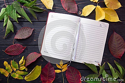 Autumn leaves on a dark wooden background. Diary page with pen. Stock Photo