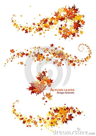 Autumn leaves design elements Vector Illustration