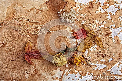 Autumn Leaves Stock Photo