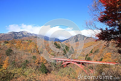 Autumn leaves at East river bridge in Kiyosato Stock Photo