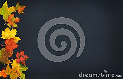 Autumn leaves. Fall colorful maple leaves on dark background. Top view Stock Photo