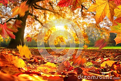 Autumn leaves falling on the ground in a park Stock Photo