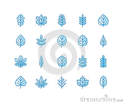 Autumn leaves flat line icons. Leaf types, rowan, birch tree, maple, chestnut, oak, cedar pine, linden,guelder rose Thin Vector Illustration