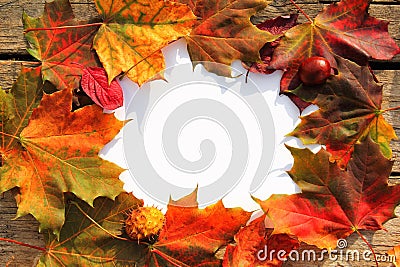 Autumn leaves frame Stock Photo