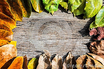 Autumn leaves frame on wood background Stock Photo