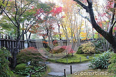Autumn leaves in the Garden of Summer in Koko-en Garden, Himeji, Japan Stock Photo