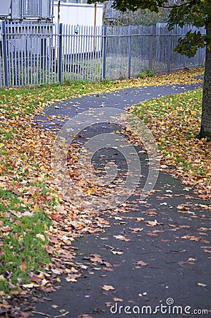 Leaves on the ground. Falling leaves natural background. Multicoloured leaves are in the grass Stock Photo