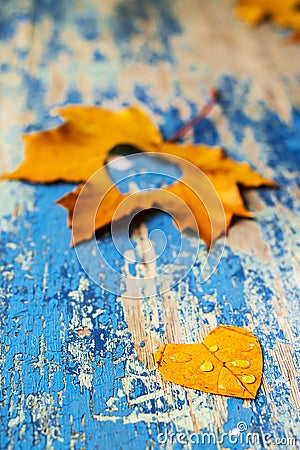 Autumn leaves on the grunge wooden cyan desk Stock Photo