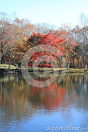 Autumn leaves by lake in Kiyosato highland Stock Photo