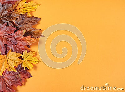 Autumn Leaves on modern trend orange background Stock Photo