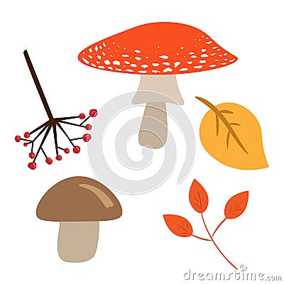 Autumn leaves, mushrooms and berries isolated on white background. Vector image of red and brown mushroom, branch of viburnum and Vector Illustration