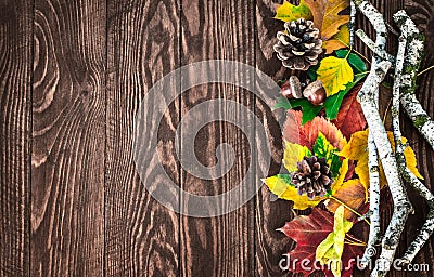Autumn leaves pinecone top view branch still Stock Photo