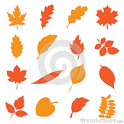 Autumn leaves set Vector Illustration